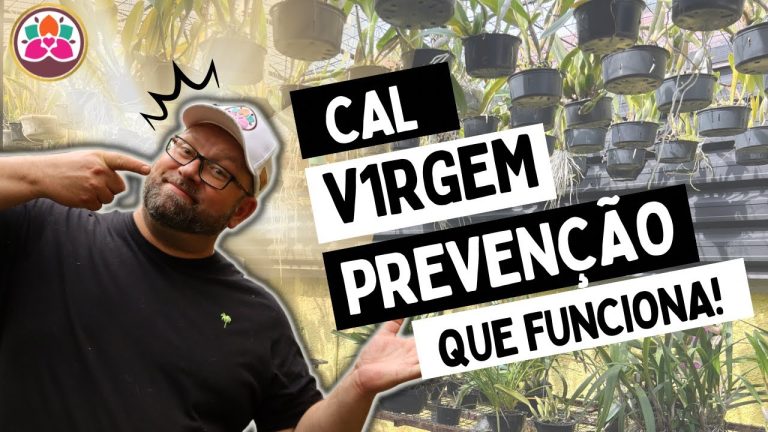 A Importância dos Drip Tips na Prevenção de Respingo